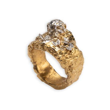 SKULL IN BUTTERFLIES